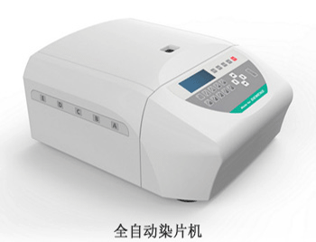 染片及.gif